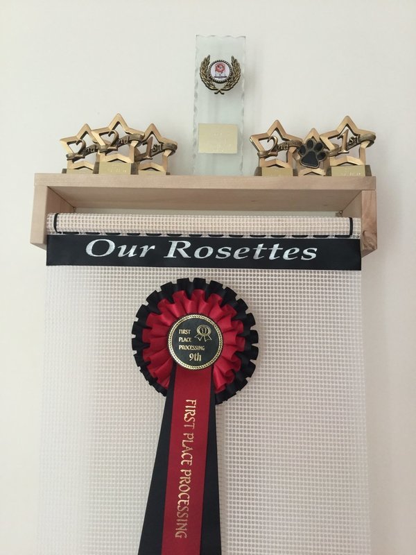 "Special Moments" Trophy Shelf Rosette Holder