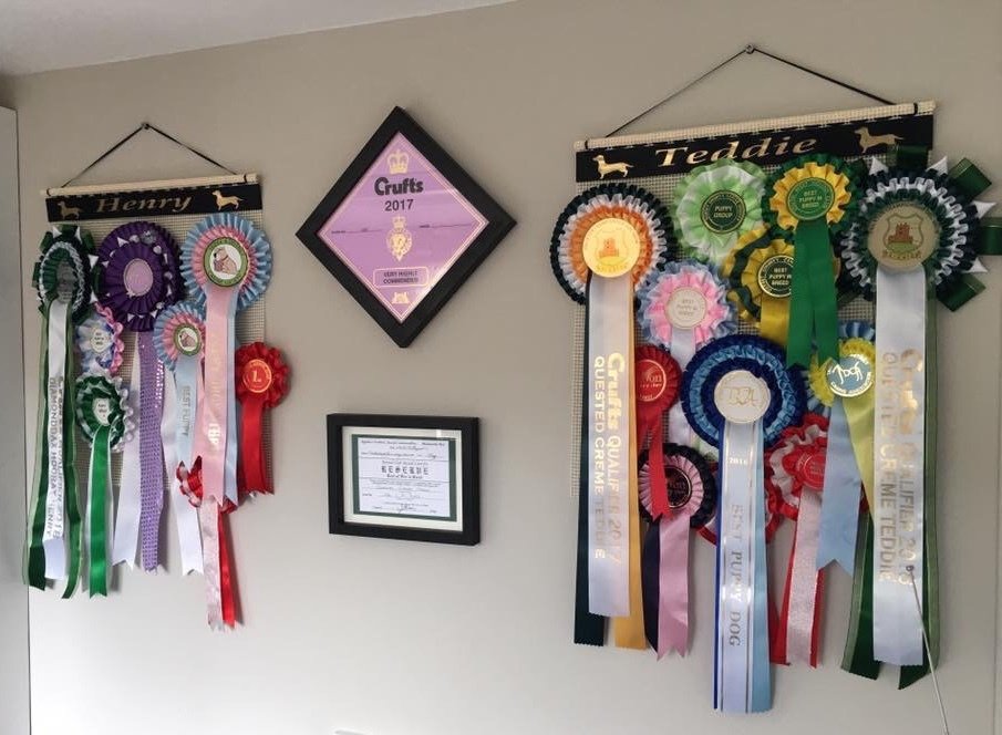 Personalised Rosette Holder with &quot; CHOICE OF  DOG BREED &quot; Image