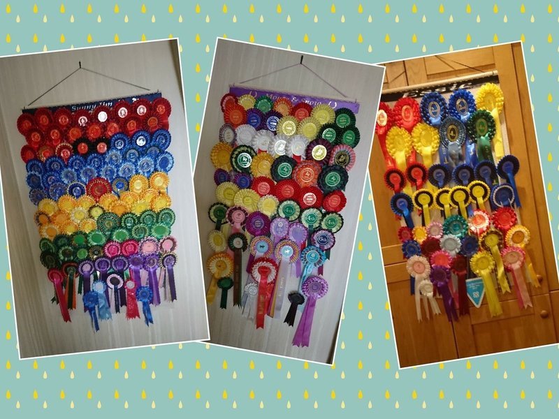 Extra Large Rosette Holder