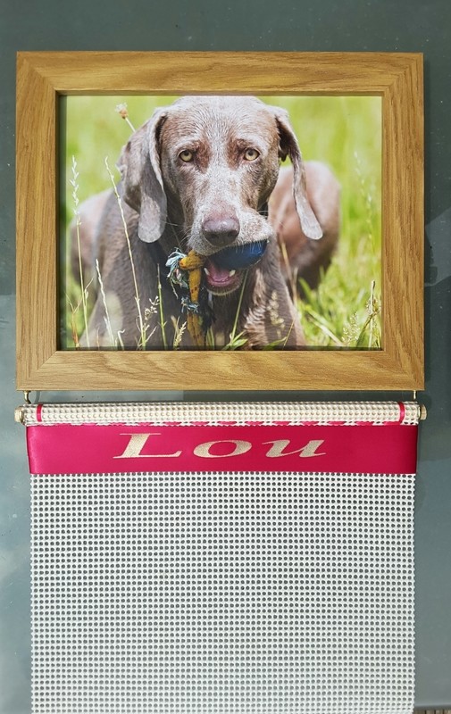 Photo Frame Rosette Holder