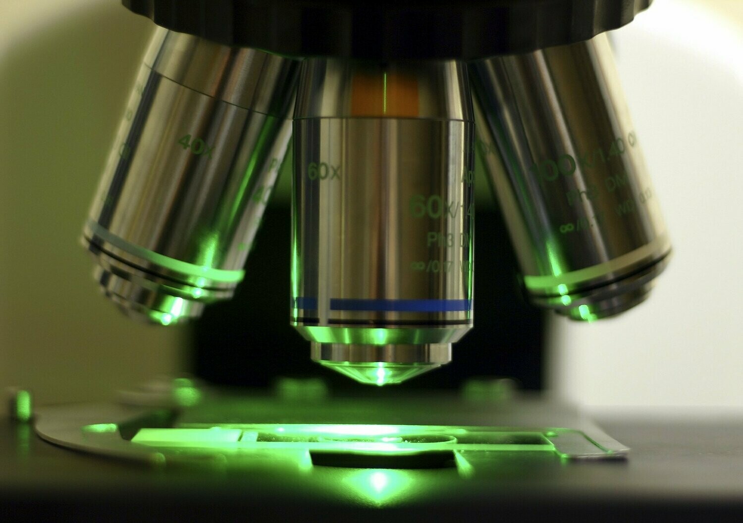 Igcse Combined Science Double Award