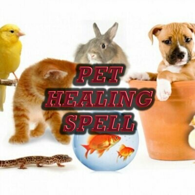 Pet Healing Spell