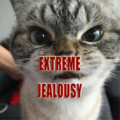 Extreme Jealousy Spell