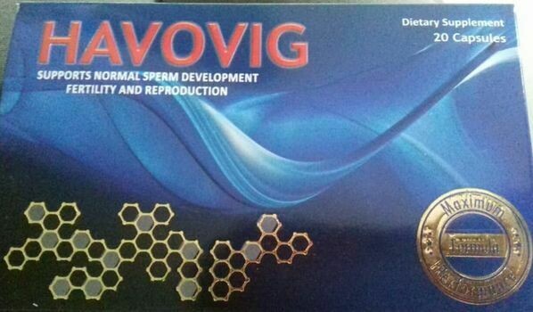 HAVOVIG