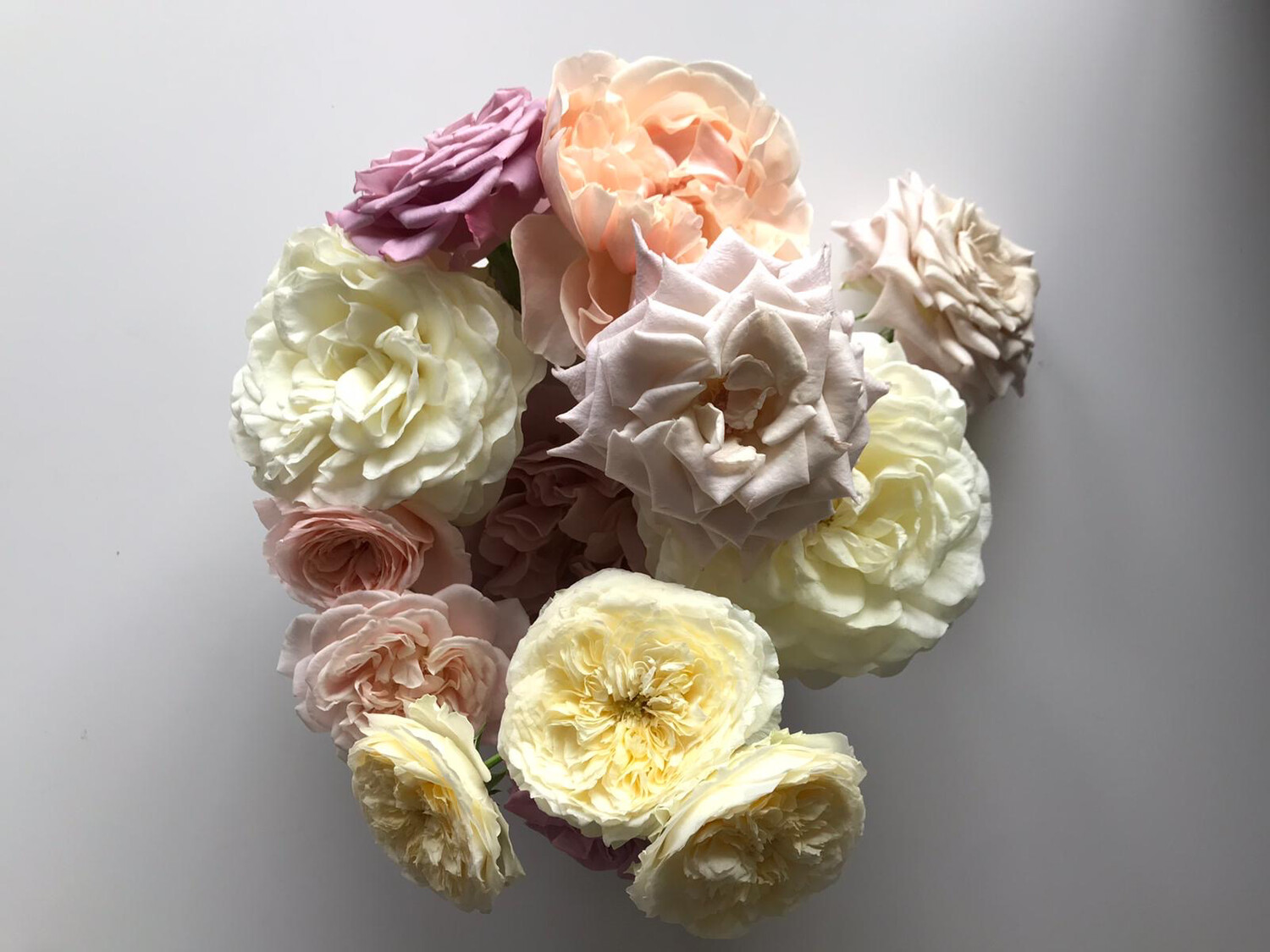 Boeket VIP Roses