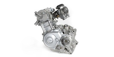 FZ 150 (lc135)