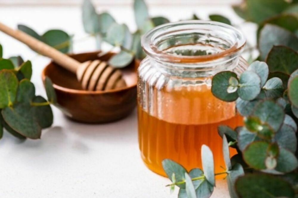 Eucalyptus Honey (Safeda)