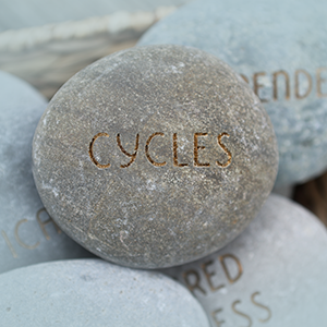 Cycles Booklet