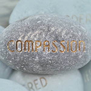 Compassion Booklet