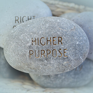 Higher Purpose Booklet