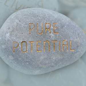 Pure Potential Booklet