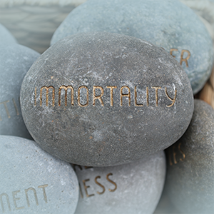 Immortality Booklet