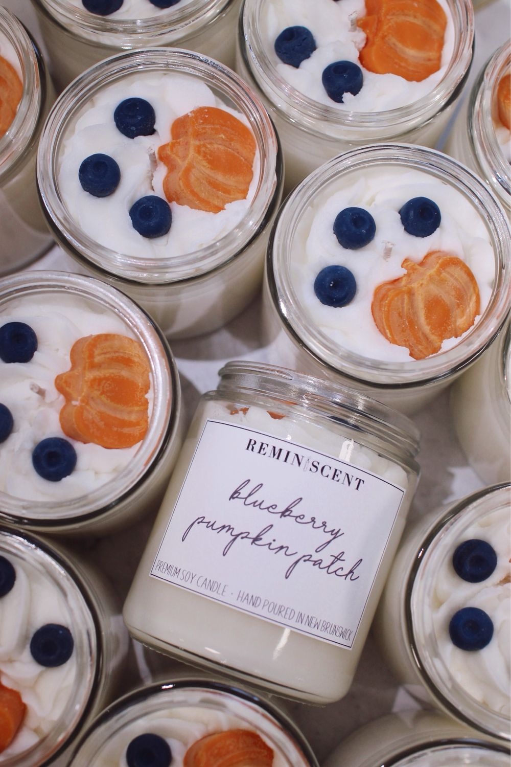 Blueberry Pumpkin Patch