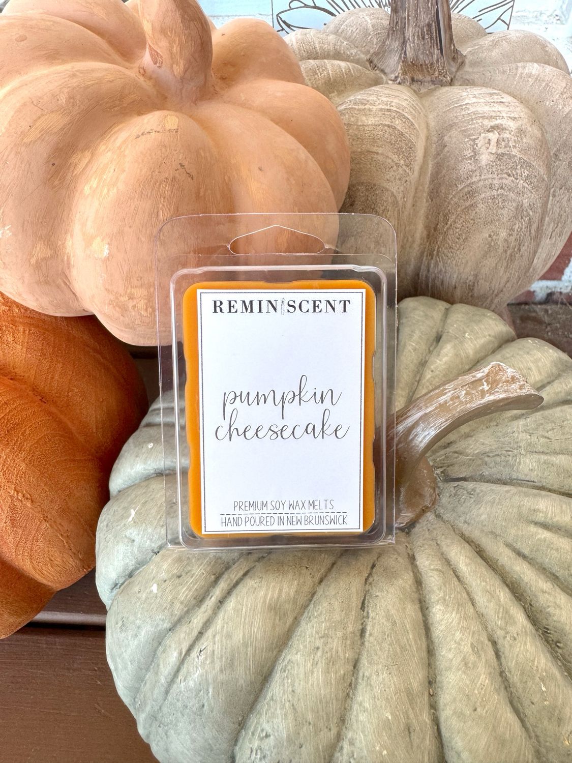 Pumpkin Cheesecake Clamshell
