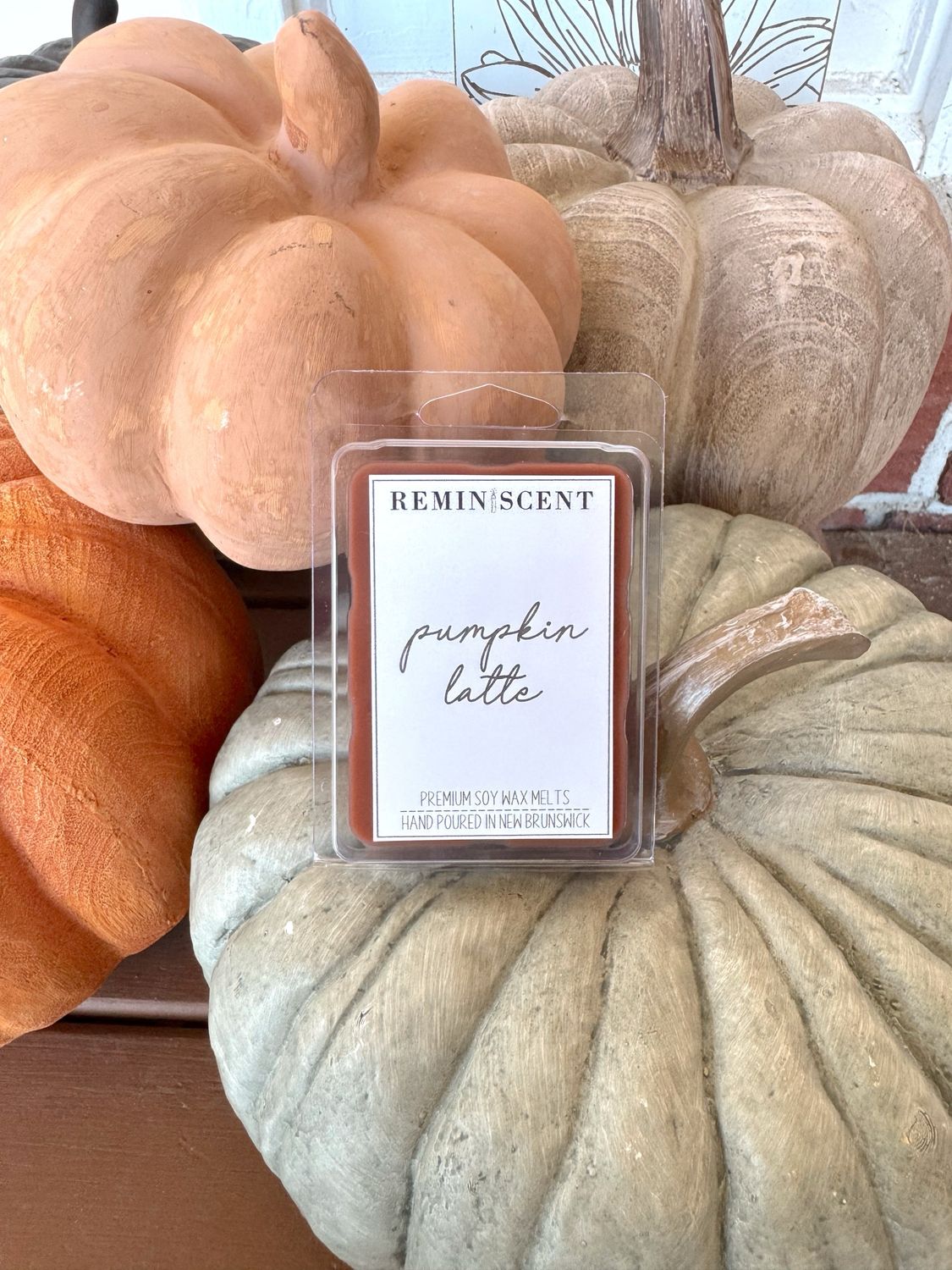 Pumpkin Latte Clamshell