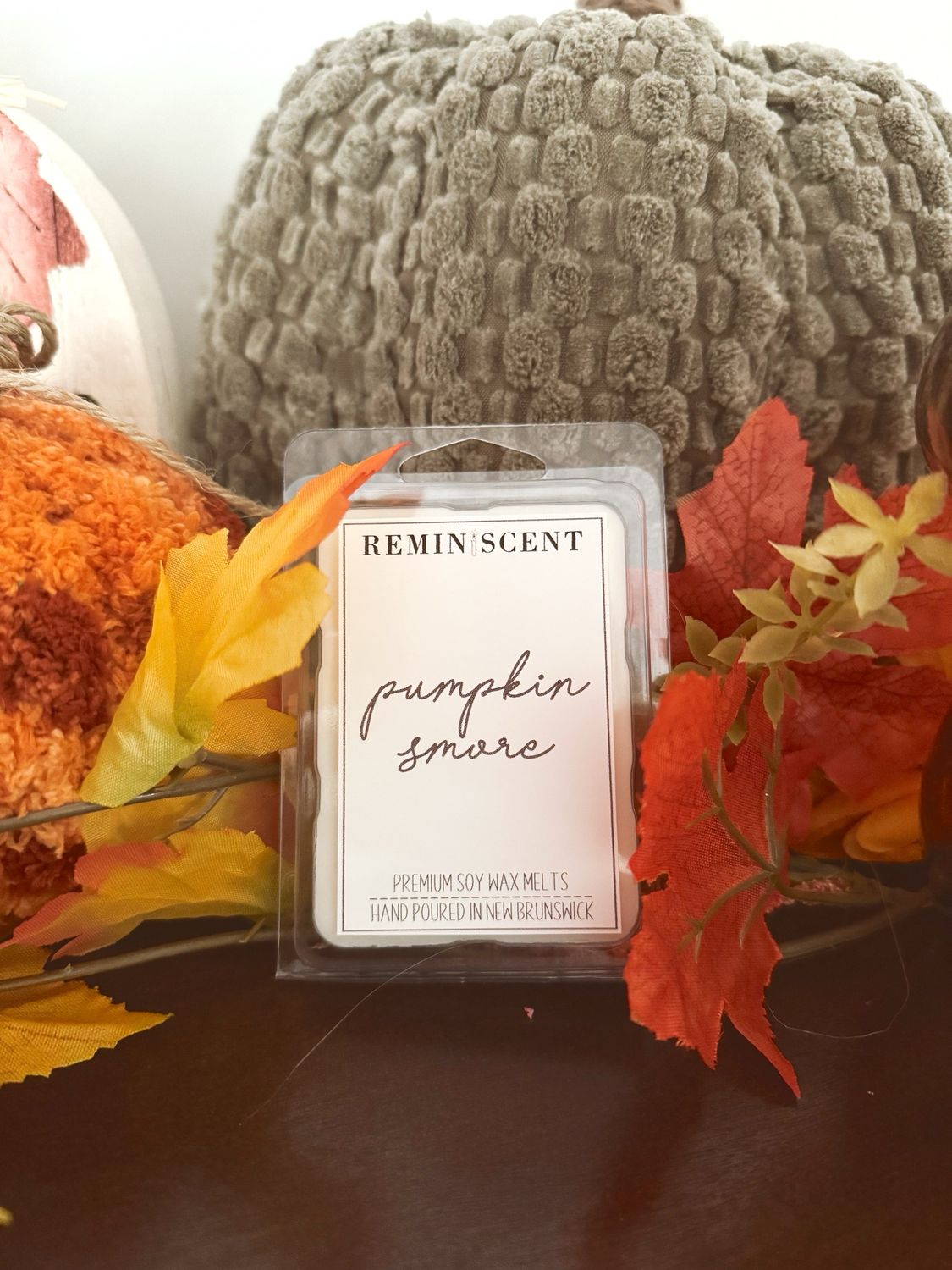 Pumpkin Smore Clamshell