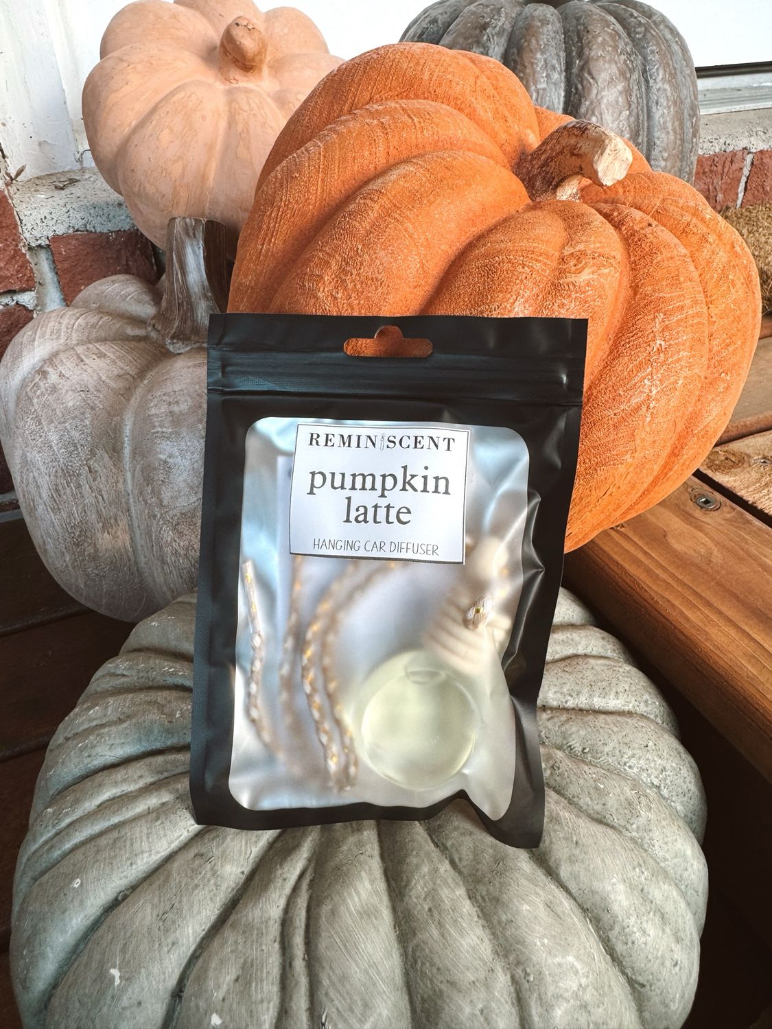 Pumpkin Latte Car Freshie