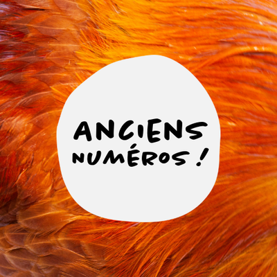 Anciens numéros