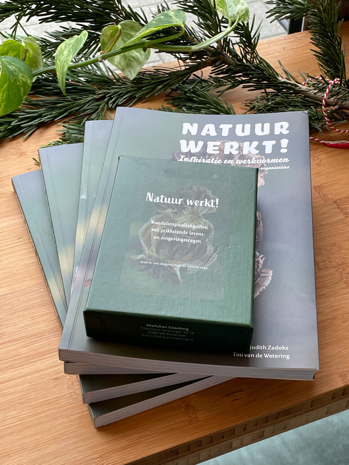 Wandelinspiratiekaarten + Boek natuur werkt!