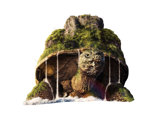 Turtletropolis