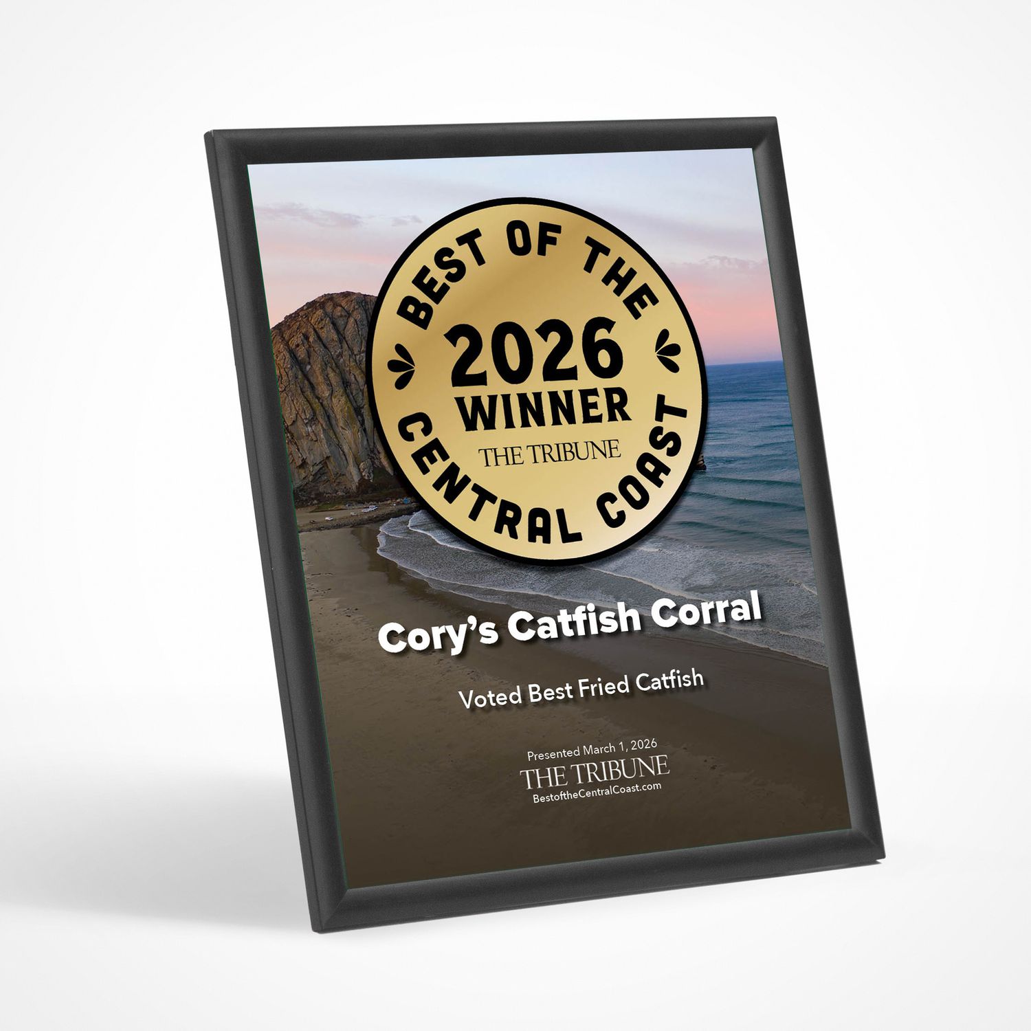 Winner's Modern Plaque