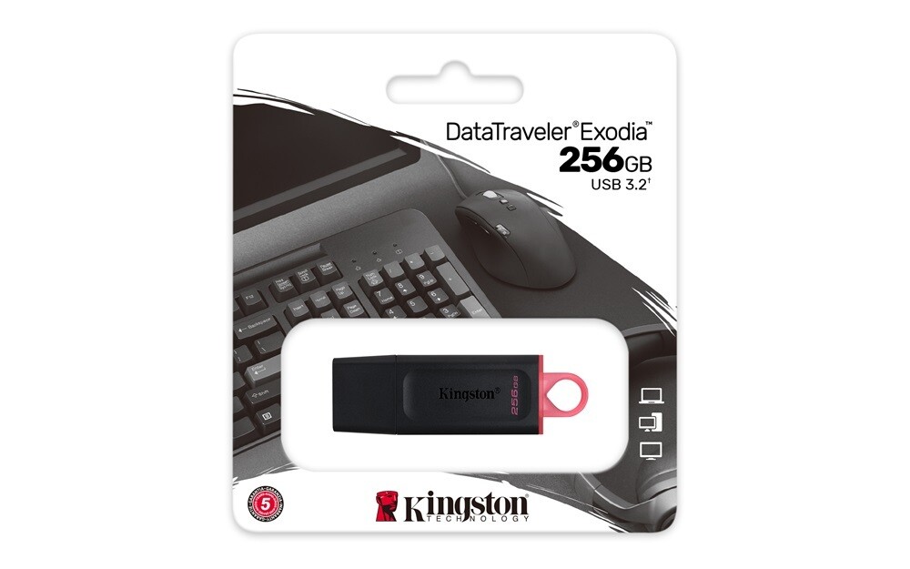 Kingston 256GB Exodia DTX USB3.2 Pendrive
