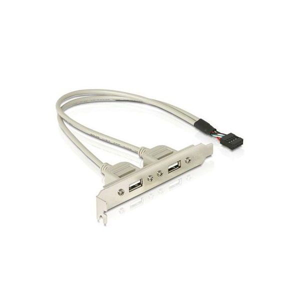 DeLock Slot bracket 2 x USB 2.0 type A female external