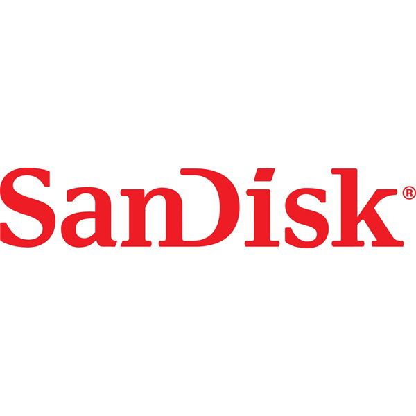 Sandisk 256GB microSDXC Class10 UHS-1 U3 A1 Nintendo Switch