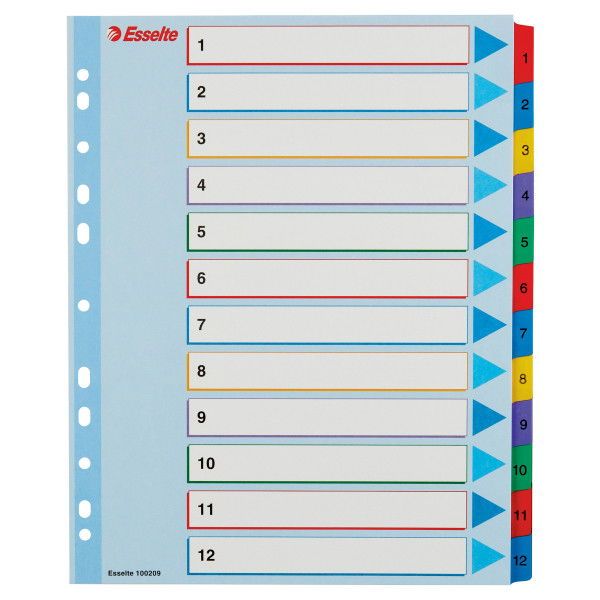 Esselte Újraírható regiszter 1-12, A4