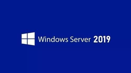 Microsoft Windows Server Datacenter 2019 (electronic license)