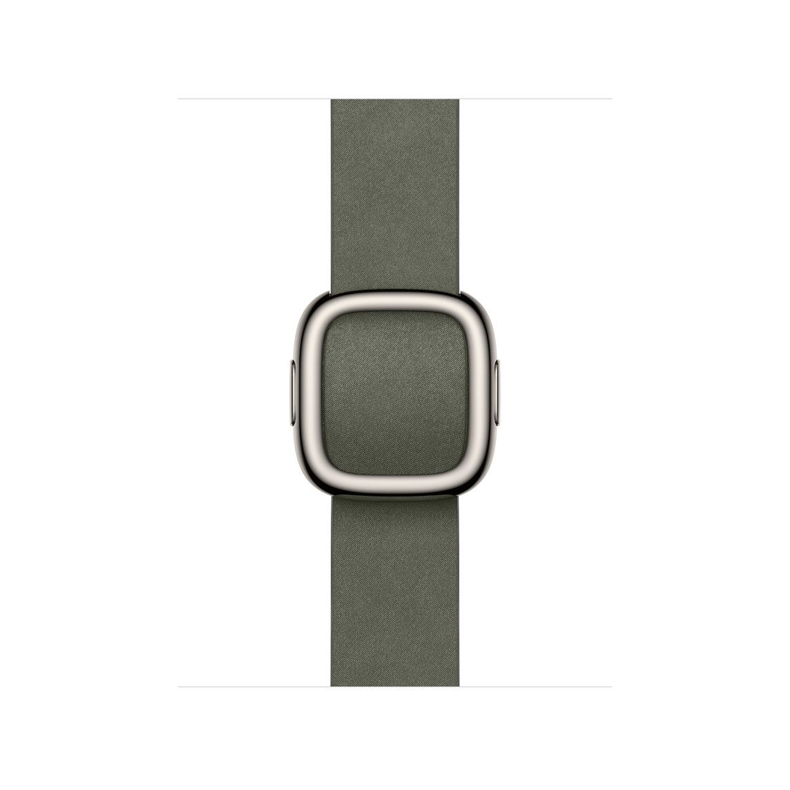 Apple Watch 42mm Modern Buckle: Sage Gray Modern Buckle - Small