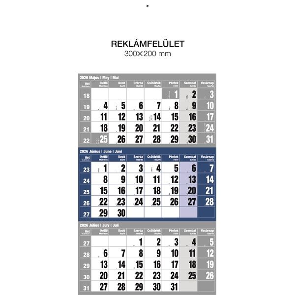 Realsystem 2026 6061 12lapos kék speditőrnaptár