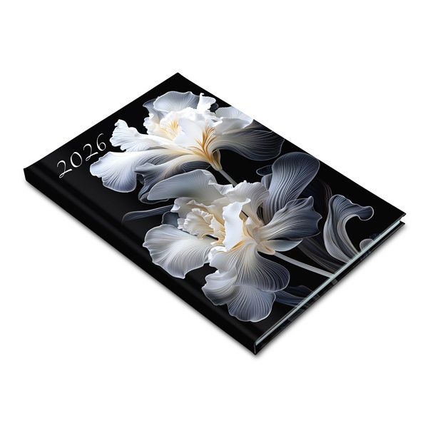 Realsystem 2026 Picture 5611-60 írisz B5 heti beosztású határidőnapló