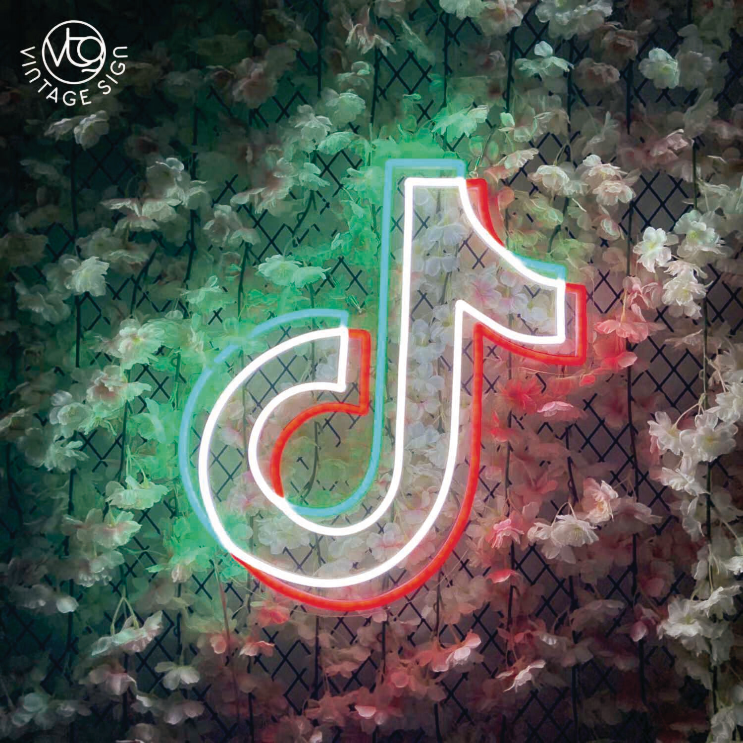TikTok Logo