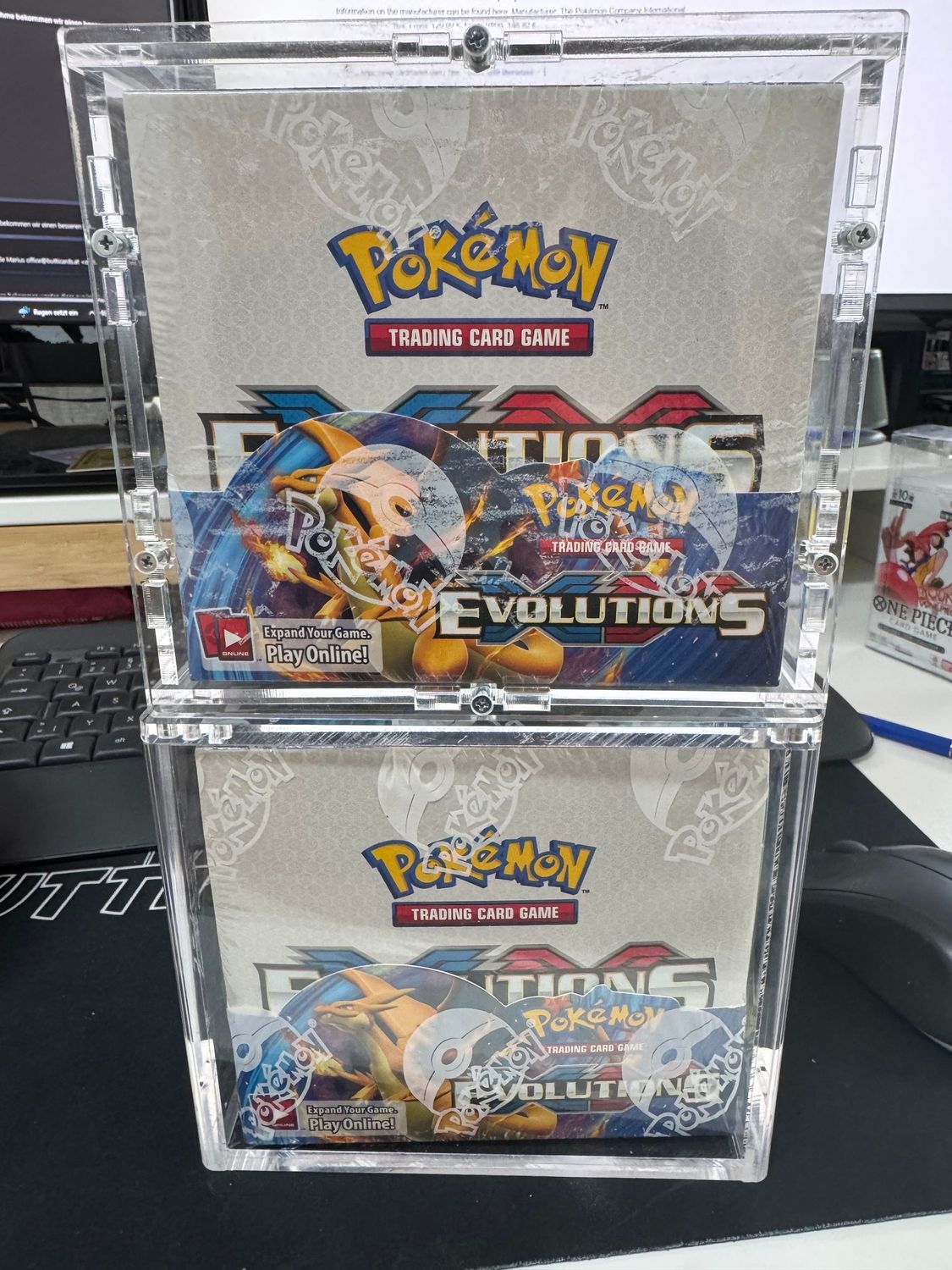 2x Evolutions Display Englisch