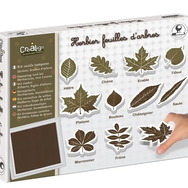 Kit di attrezzi per erbario, timbri foglie d&#39;albero