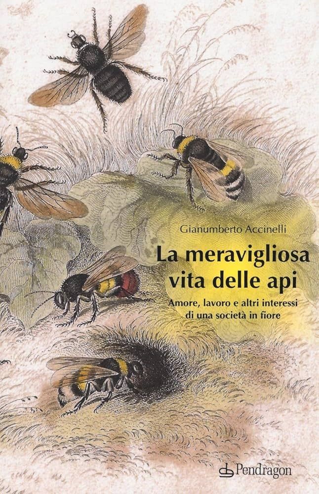 La meravigliosa vita delle api