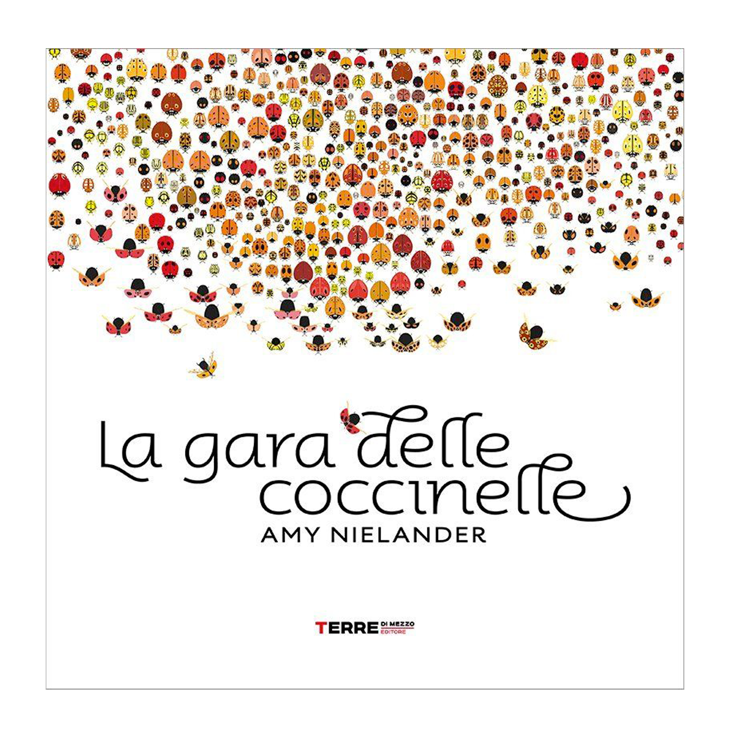 La gara delle coccinelle