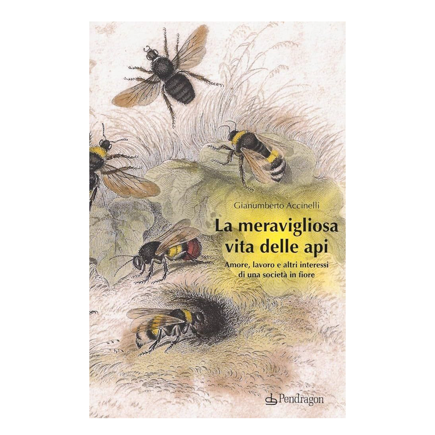 La meravigliosa vita delle api