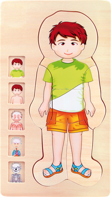 Puzzle a strati Anatomia Ragazzo