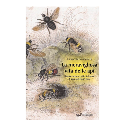 La meravigliosa vita delle api