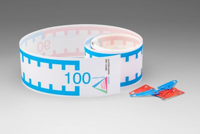 Linea dei numeri 1-100 lunga 3 metri