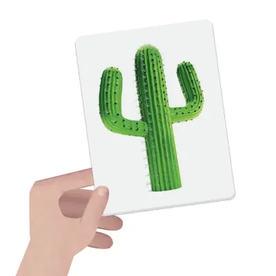 Maxi Flashcards Montessori Colors