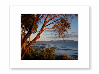 Rathtrevor Beach at Sunset on Vancouver Island, BC Canada Photograph Print