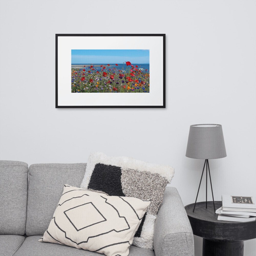 Red Poppies and Wildflowers Overlooking Davis Bay Photograph