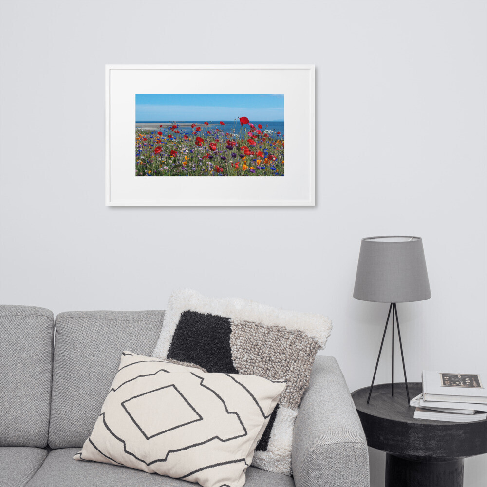 Red Poppies and Wildflowers Overlooking Davis Bay Photograph