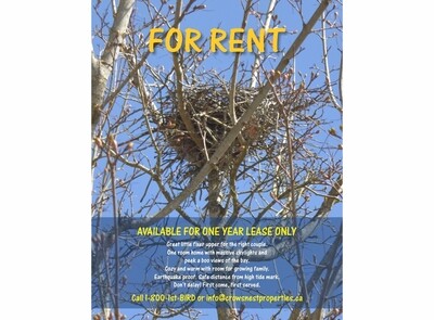 For Rent - Bird's Nest One Year Lease Poster