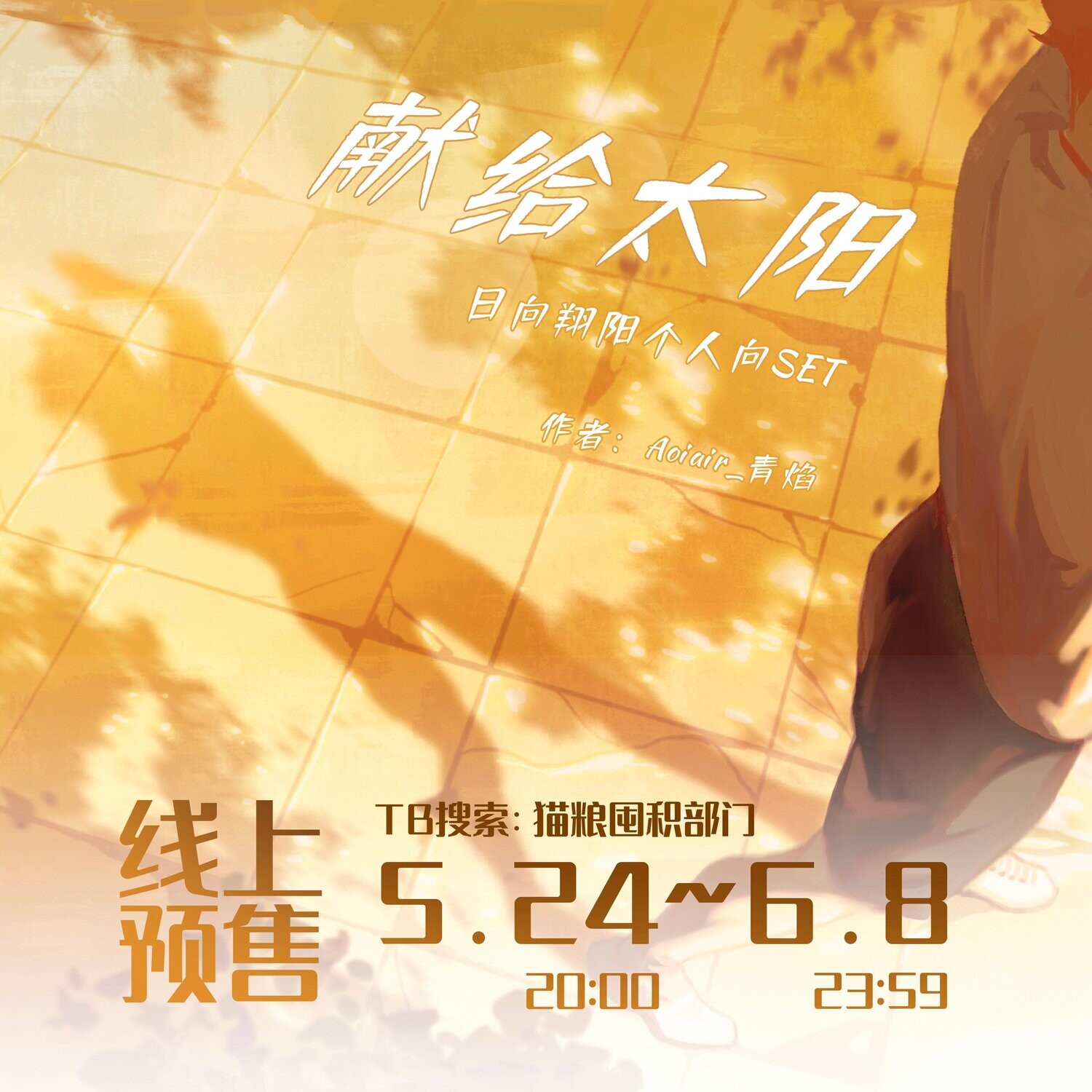 [IS] Haikyuu!! - Hinata Fanbook Set &lt;To the Sun&gt; by Aoiair_青焰