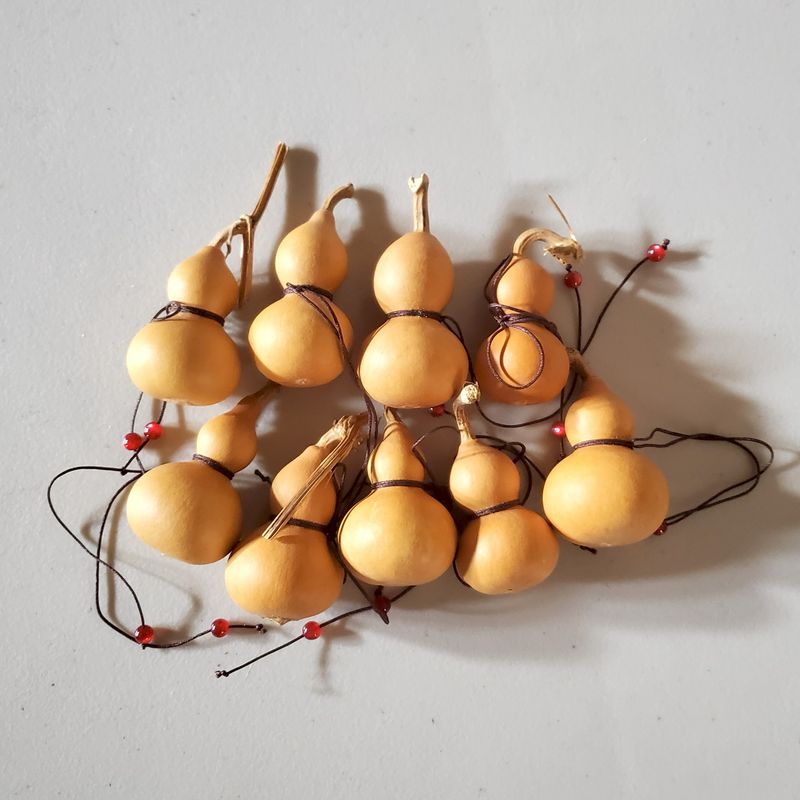 [IS] Miscellaneous Mini Gourds