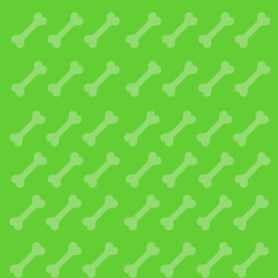 Dog Treats